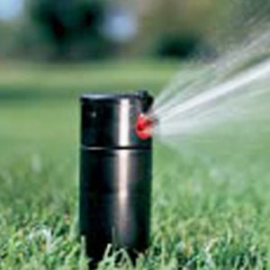 Recommended Watering Run Time for Sprinklers Perth Western Australia